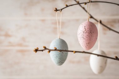 Üç dekoratif paskalya yumurtası pastel renklerde dallarda, kopyalama alanı