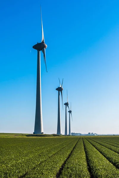 Wind turbines between the dike and an agricultural field, vertical