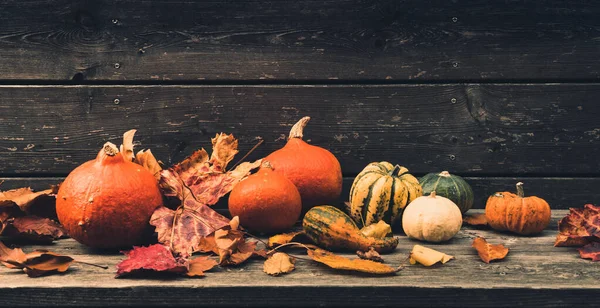 Colorful Pumpkins Fallen Leaves Wooden Veranda Copy Space — Stock fotografie