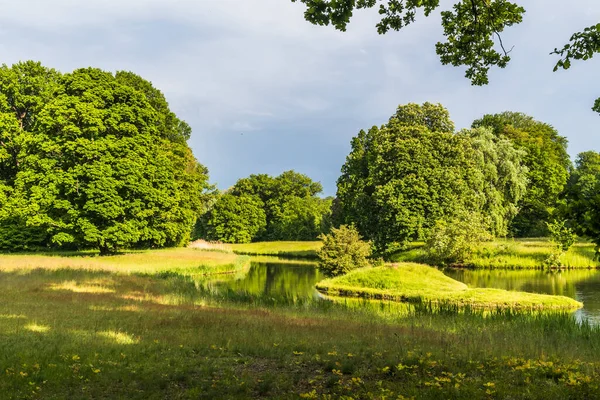 Beautiful Park Mature Trees Pond — Stockfoto