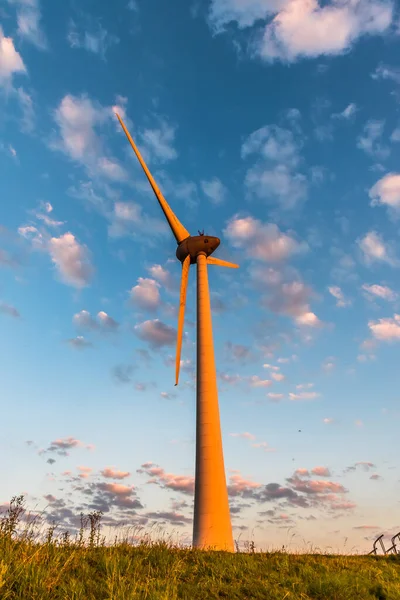 Wind turbine in the summer sunset, vertical