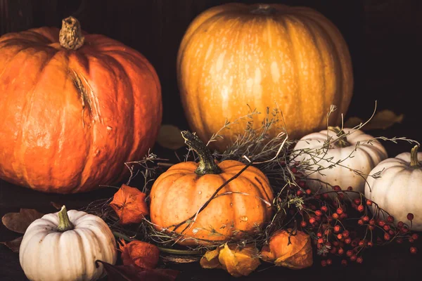 Dýně Různých Velikostí Barev Podzimní Výzdobou — Stock fotografie