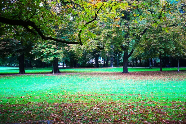 Herbst Luitpoldpark München Oktober — Stockfoto