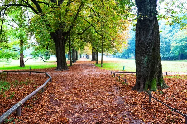 秋にミュンヘンのLuitpoldpark — ストック写真