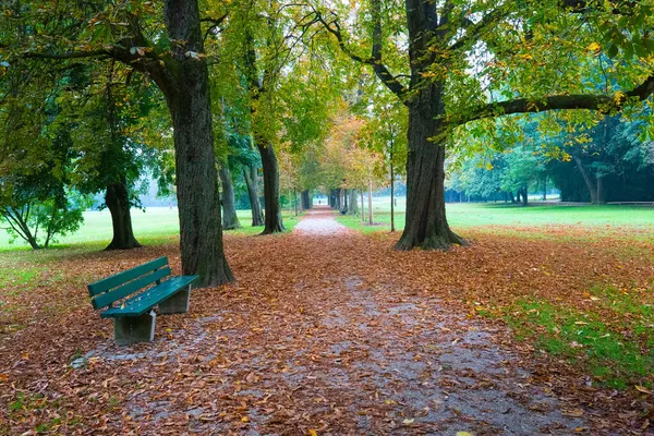 秋にミュンヘンのLuitpoldpark — ストック写真