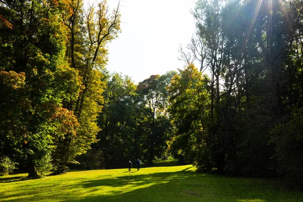 Jardín Inglés Múnich Otoño Octubre Dorado —  Fotos de Stock