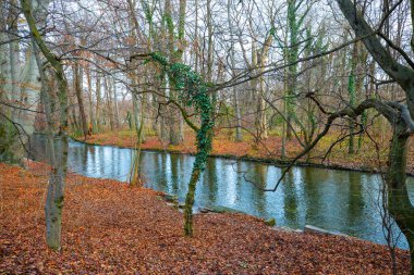 Münih 'teki İngiliz Bahçesinde dere