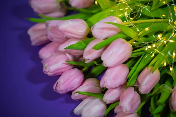 Tulipanes Rosados Para San Valentín Fondo Morado Tarjeta — Foto de Stock