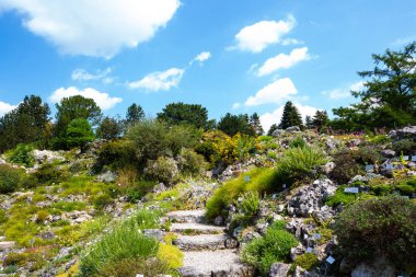 Münih 'teki botanik bahçesi, mavi gökyüzü, manzara