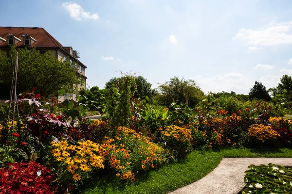 botanical garden in munich, blue sky, landscape