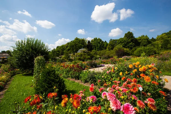 botanical garden in munich, blue sky, landscape