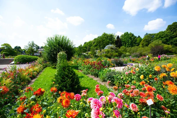 botanical garden in munich, blue sky, landscape