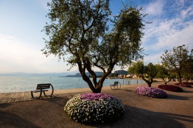 Garda Gölü 'ndeki Bardolino' da gün batımında ağaçlar ve çiçeklerle deniz kenarında gezinti.