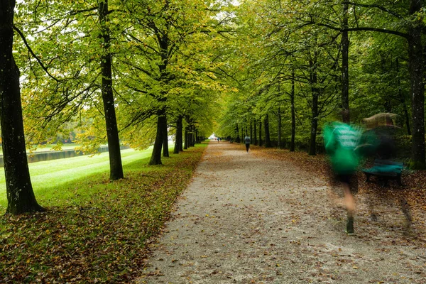 Palacio Nymphenburg Otoño Vista Trasera Del Palacio Nymphenburg Munich Fotos de stock libres de derechos