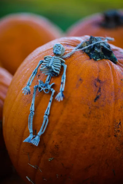 Esqueleto Acostado Calabaza Halloween Postal Divertida Fiesta Invitación — Foto de Stock
