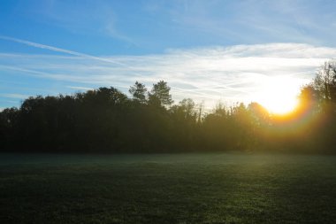 Almanya 'nın Münih kentinde sonbaharda kırağı olan orman,