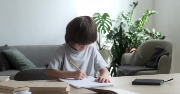 Симпатичный дошкольник учится писать, делать домашнее задание и упражнения дома — стоковое видео