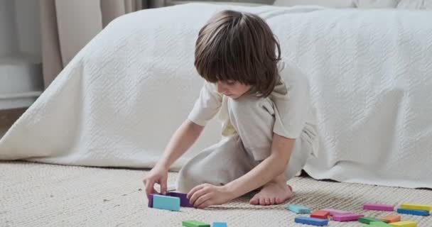 Entuzjastyczny przedszkolak pewnie buduje wielokolorowe drewniane klocki zabawki w sypialni — Wideo stockowe
