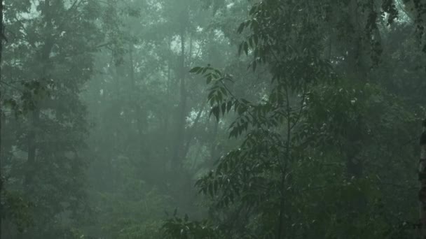 Noche húmeda calle urbana vacía durante las lluvias con charcos de agua, salpicaduras de burbujas en el camino de asfalto — Vídeos de Stock