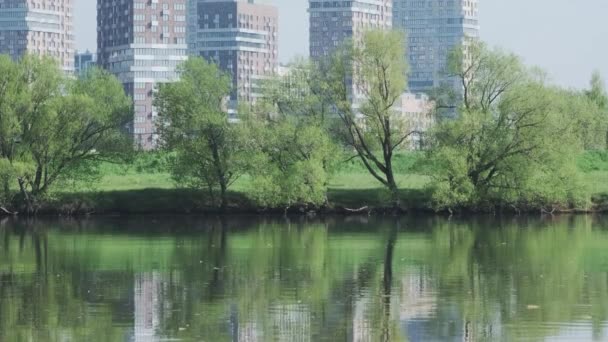 Modern urban cityscape with natural park environment summer sunny day. Eco friendly neighbor street — 图库视频影像