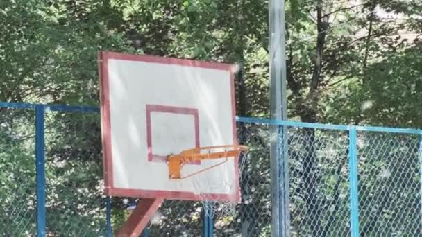 Баскетбольный обруч открытая площадка в окружении летящего белого тополя пух летний сезонный аллерген — стоковое видео