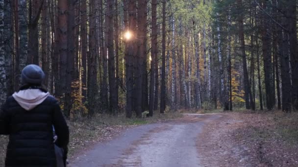 Мать с коляской прогулки в природном лесном парке с деревьями ствол и яркий солнечный осень — стоковое видео