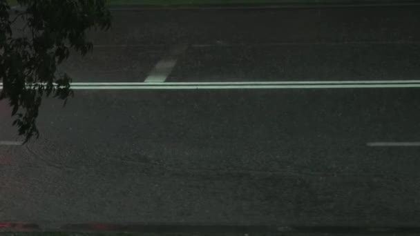Νύχτα αστικού δρόμου αυτοκινητόδρομο που καλύπτεται από νεροποντή που περιβάλλεται από φυσικό πράσινο δέντρο — Αρχείο Βίντεο