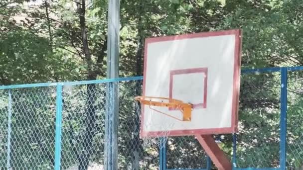 Баскетбольный обруч открытая площадка в окружении летящего белого тополя пух летний сезонный аллерген — стоковое видео