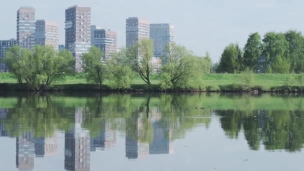 Modern urban cityscape with natural park environment summer sunny day. Eco friendly neighbor street — 图库视频影像