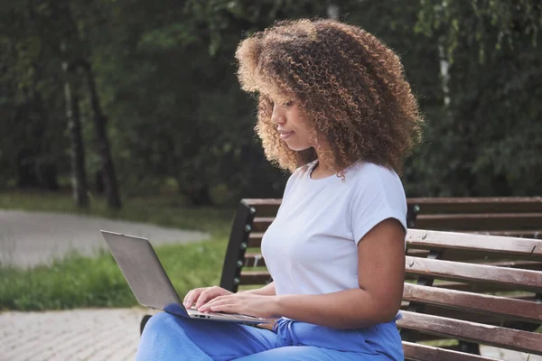 Focused young black woman student preparing for exams using laptop and sitting on park bench. Stock Picture