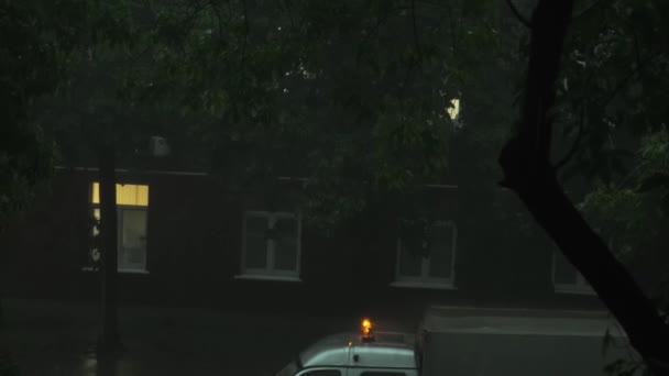Night urban highway street covered by water downpour surrounded by natural green tree — Video Stock