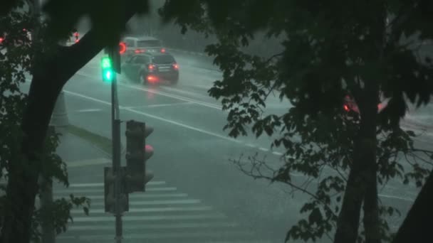 Ocupada noche mojada calle urbana carretera con coches en movimiento automóvil y semáforos lluvia de verano estacional — Vídeo de stock