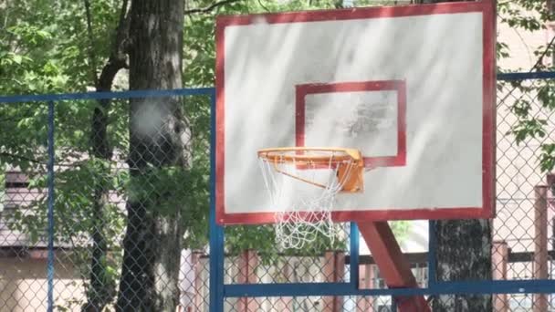 Basketbol potası açık hava oyun parkı Uçan beyaz kavak tüyleriyle çevrili Yaz mevsimsel alerji — Stok video