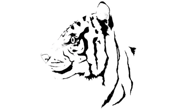 Desenho Linha Perfil Tigre Toque Realista Desenhado Mão —  Vetores de Stock