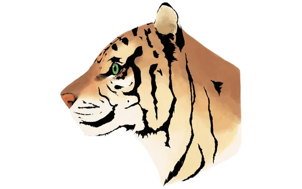 Perfil Tigre Toque Realista Pintado Mano — Vector de stock