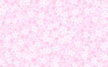 Bahar Arkaplanı, Kiraz Çiçeği Yaprakları