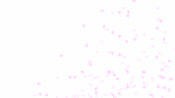 樱花花瓣舞背景 复制空间向左 — 图库视频影像