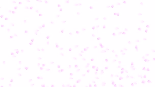 Jarní Stock Fotka Cherry Blossom Petals Dancing Background — Stock video