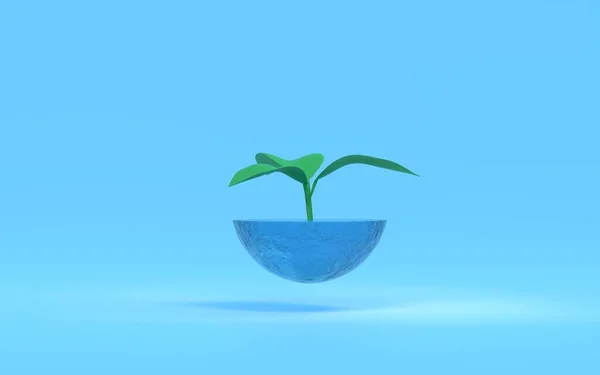 3Dcg Young Leaves Water Planter Sdgs 이미지 — 스톡 사진