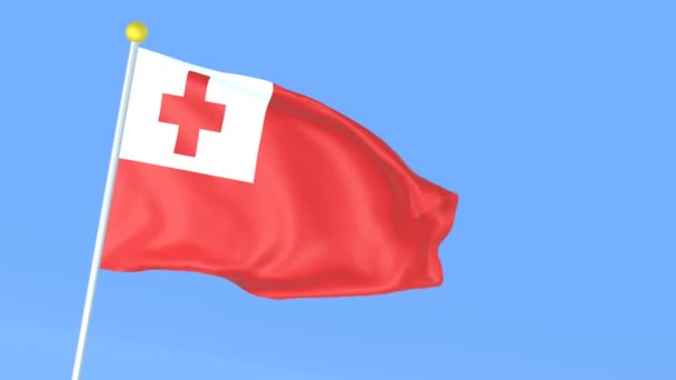 Nationale Vlag Van Wereld Tonga — Stockvideo