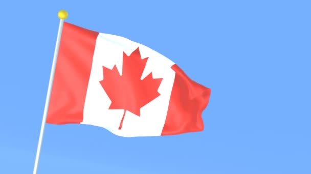 Bandiera Nazionale Del Mondo Canada — Video Stock
