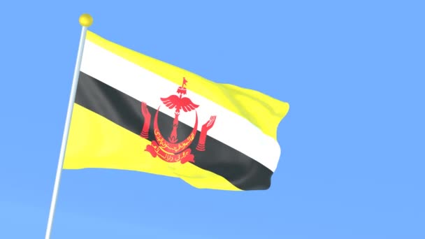 Národní Vlajka Světa Brunej — Stock video