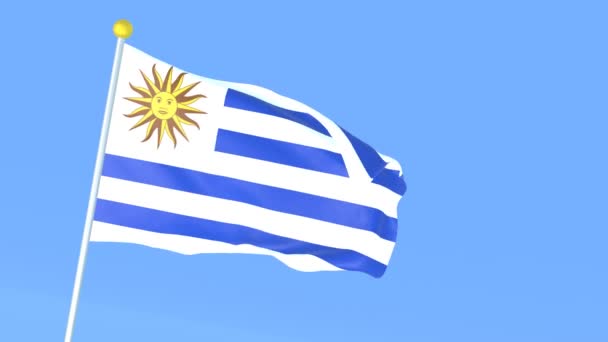 Národní Vlajka Světa Uruguay — Stock video