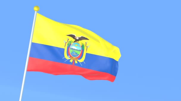 Drapeau National Monde Équateur — Video
