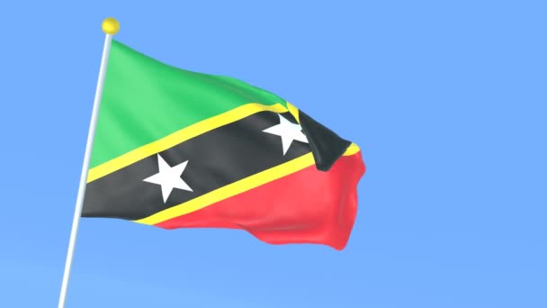 Drapeau National Monde Saint Kitts Nevis — Video