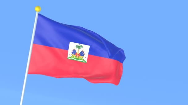 Bandiera Nazionale Del Mondo Haiti — Video Stock