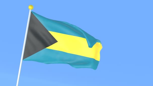 Drapeau National Monde Bahamas — Video