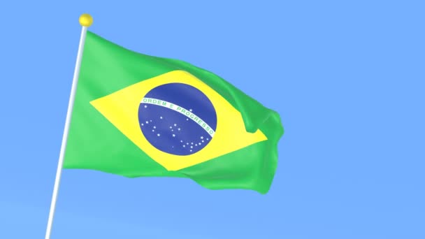 Bandeira Nacional Mundo Brasil — Vídeo de Stock