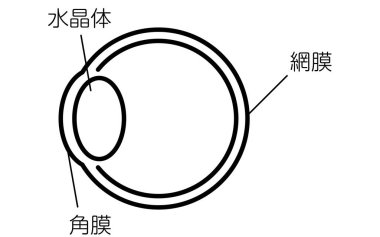 Gözün basit bir gösterimi - Çevirisi: lens, retina, kornea