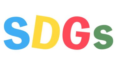 SDG logosu sallanan döngü canlandırması (şeffaf))